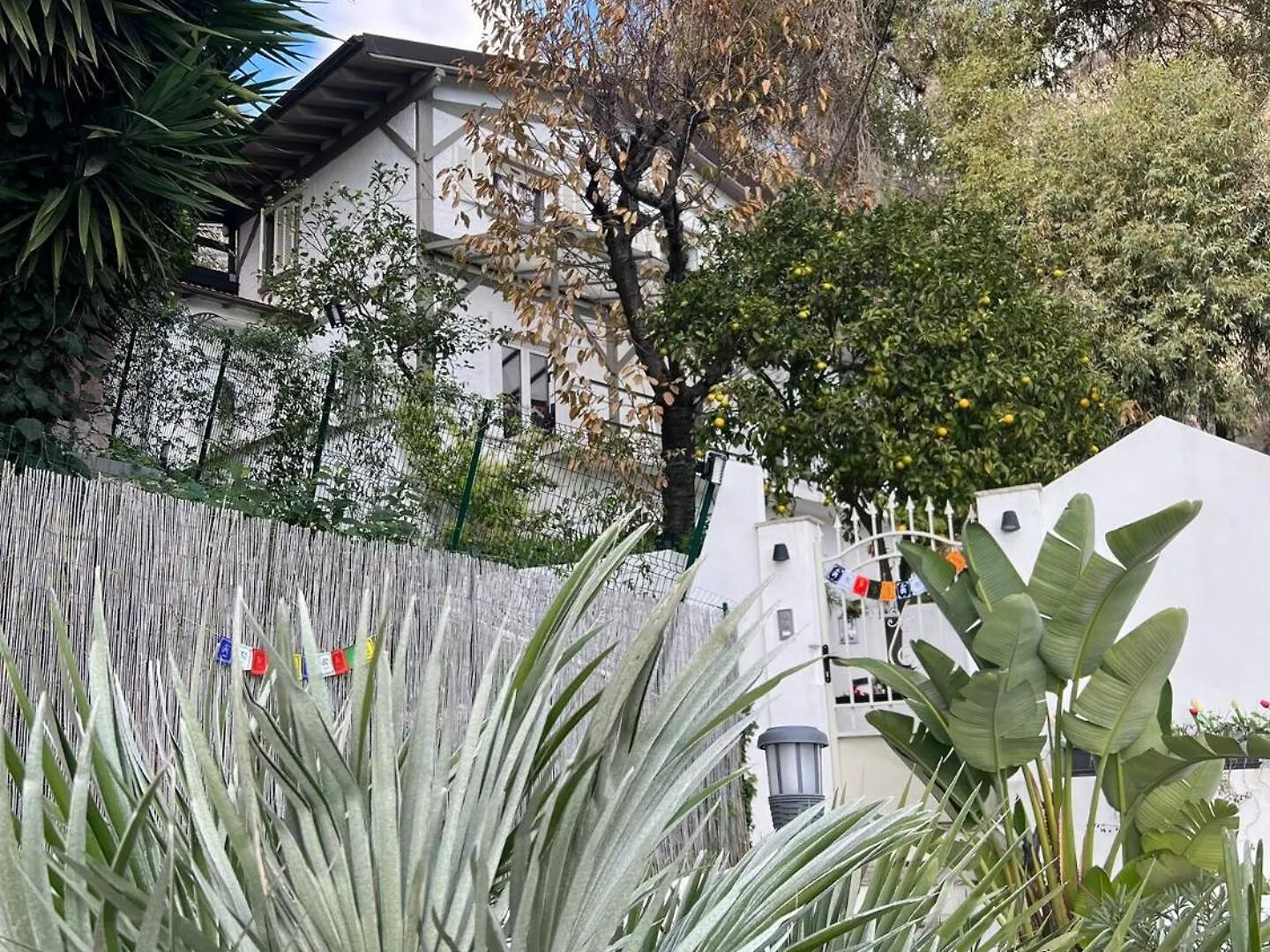 Stunning Seaview White Villa In Beuasoleil With Pool And Garden Beausoleil